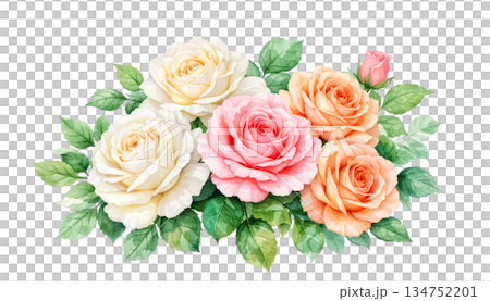 watercolor set of rose and leaves watercolor set of rose and leaves 134752201