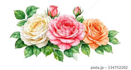 watercolor rose with leaves and rose watercolor rose with leaves and rose 134752202