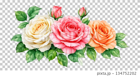 watercolor rose with leaves and rose 134752202