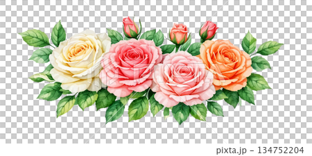 watercolor bouquet of pink roses 134752204