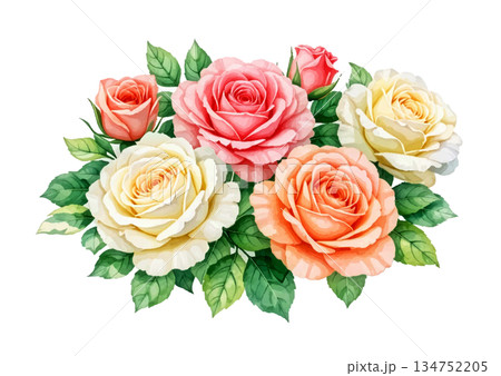 watercolor set of rose and leaves 134752205