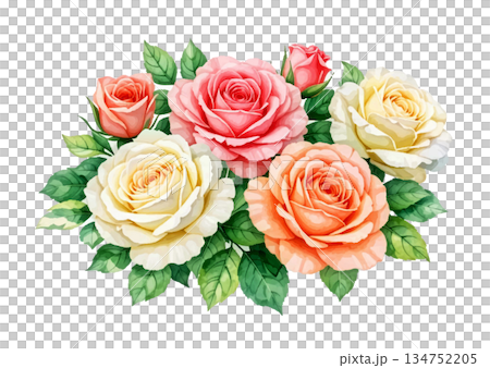 watercolor set of rose and leaves 134752205