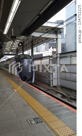 東京駅に入線するE353系電車 134752225