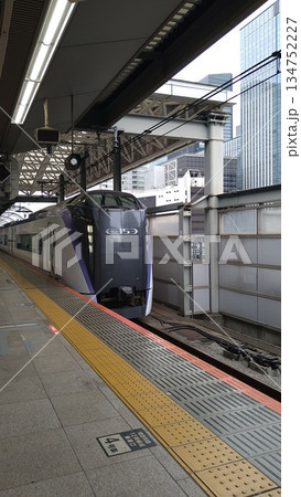 東京駅に入線するE353系電車 東京駅に入線するE353系電車 134752227