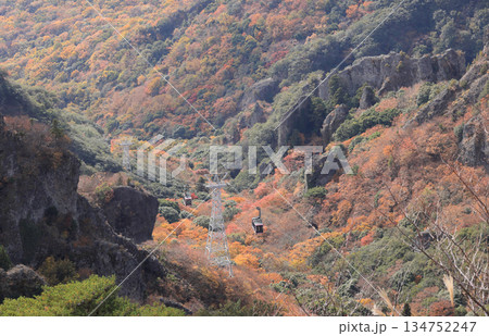 晩秋の小豆島、紅葉の寒霞渓をゆくロープウェイのゴンドラ 134752247