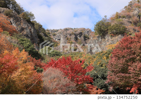 晩秋の小豆島、紅葉の寒霞渓(寒霞渓ロープウェイ紅雲亭駅から) 晩秋の小豆島、紅葉の寒霞渓(寒霞渓ロープウェイ紅雲亭駅から) 134752250