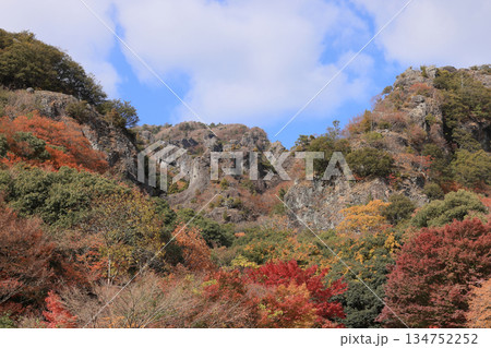 晩秋の小豆島、紅葉の寒霞渓(寒霞渓ロープウェイ紅雲亭駅から) 晩秋の小豆島、紅葉の寒霞渓(寒霞渓ロープウェイ紅雲亭駅から) 134752252