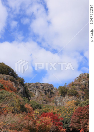 晩秋の小豆島、紅葉の寒霞渓(寒霞渓ロープウェイ紅雲亭駅から) 晩秋の小豆島、紅葉の寒霞渓(寒霞渓ロープウェイ紅雲亭駅から) 134752254