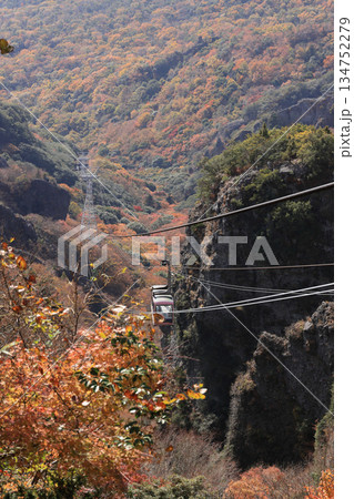 晩秋の小豆島、紅葉の寒霞渓をゆくロープウェイのゴンドラ(ロープウェイ乗り場から) 晩秋の小豆島、紅葉の寒霞渓をゆくロープウェイのゴンドラ(ロープウェイ乗り場から) 134752279