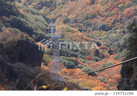 晩秋の小豆島、紅葉の寒霞渓をゆくロープウェイのゴンドラ(ロープウェイ乗り場から) 晩秋の小豆島、紅葉の寒霞渓をゆくロープウェイのゴンドラ(ロープウェイ乗り場から) 134752286