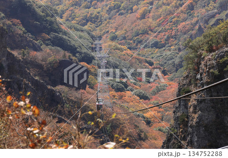 晩秋の小豆島、紅葉の寒霞渓をゆくロープウェイのゴンドラ(ロープウェイ乗り場から) 晩秋の小豆島、紅葉の寒霞渓をゆくロープウェイのゴンドラ(ロープウェイ乗り場から) 134752288