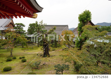 京都大覚寺境内の風景 134752688