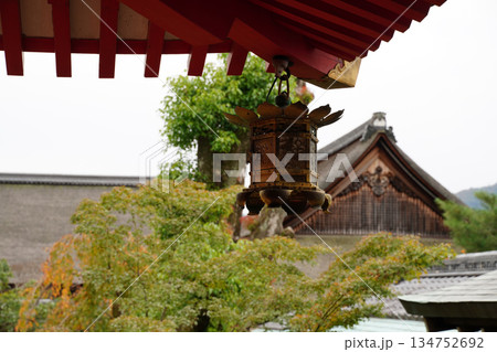 京都大覚寺境内の風景 京都大覚寺境内の風景 134752692