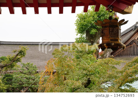 京都大覚寺境内の風景 134752693