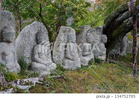 京都大覚寺の境内の石仏群 京都大覚寺の境内の石仏群 134752705