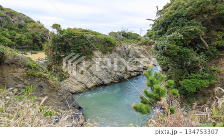 三浦半島の荒崎公園の冬 134753307