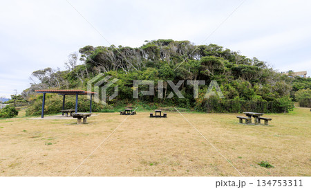 三浦半島の荒崎公園の冬 134753311