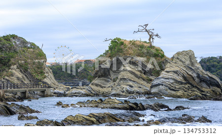 三浦半島の荒崎公園の冬 134753312