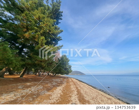 琵琶湖の水泳場 134753639