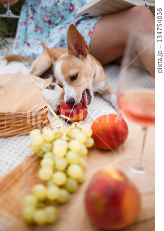 A Playful Dog Happily Enjoying a Picnic in the Garden Surrounded by Fruits and Wine 134754036