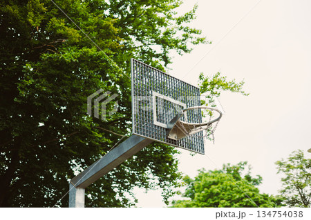 Outdoor Basketball Hoop Surrounded by Lush Greenery in a Bright Blue Sky Outdoor Basketball Hoop Surrounded by Lush Greenery in a Bright Blue Sky 134754038