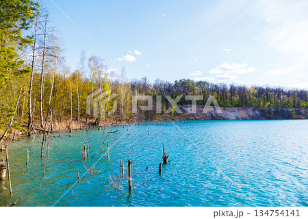 A pixelated image depicting a serene lake, surrounded by trees in the background 134754141