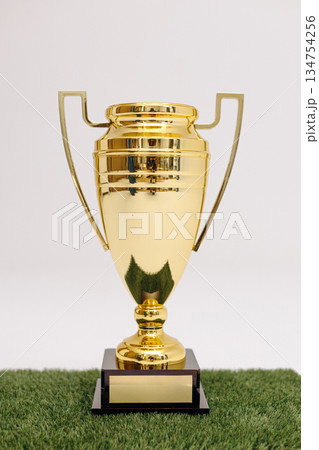Shiny Golden Trophy on Green Turf Background Perfect for Celebrating Achievements and Victories 134754256