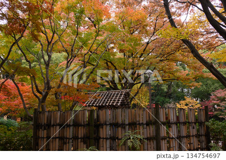 紅葉に包まれた東屋 134754697