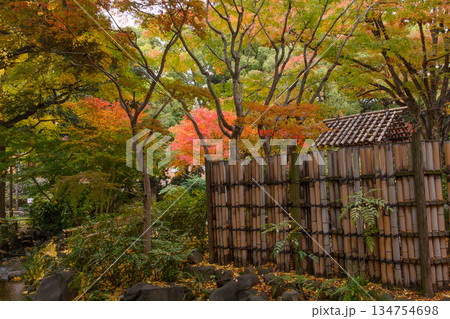 紅葉に包まれた東屋 紅葉に包まれた東屋 134754698