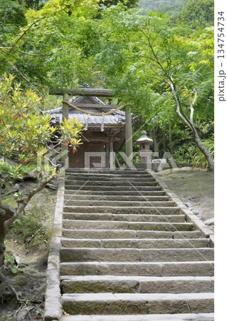 神社へと続く石階段 134754734