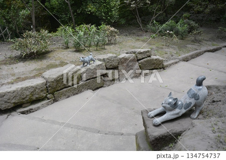 石段の脇でくつろぐ猫の彫像と新緑に囲まれた静かな歩道 石段の脇でくつろぐ猫の彫像と新緑に囲まれた静かな歩道 134754737
