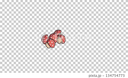 red mushroom illustration 134754773