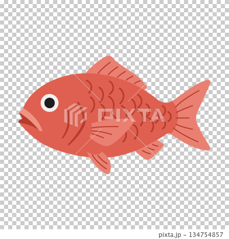 吉祥的紅鯛魚插圖圖標 134754857