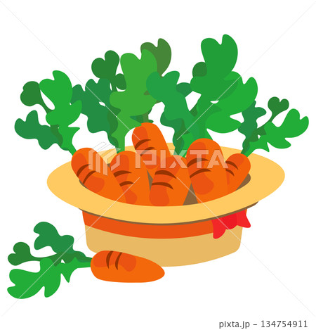 逆さにしたカンカン帽の中に収穫したニンジンがたくさん入っているイラスト 134754911