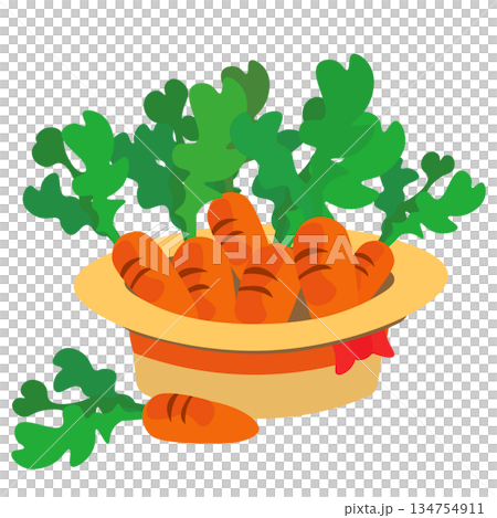 逆さにしたカンカン帽の中に収穫したニンジンがたくさん入っているイラスト 134754911
