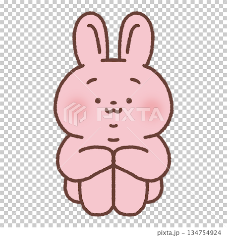 Cute rabbit sitting on the floor 134754924