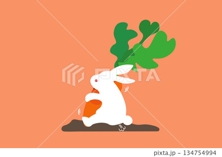 畑の中から人参を掘り起こそうとして、しりもちをつく白いうさぎのイラスト 畑の中から人参を掘り起こそうとして、しりもちをつく白いうさぎのイラスト 134754994
