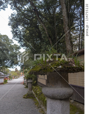 宇佐神宮 参道 石灯籠 宇佐市 宇佐神宮 参道 石灯籠 宇佐市 134755110