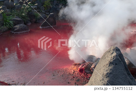 別府温泉　血の池地獄　地獄めぐり 134755112