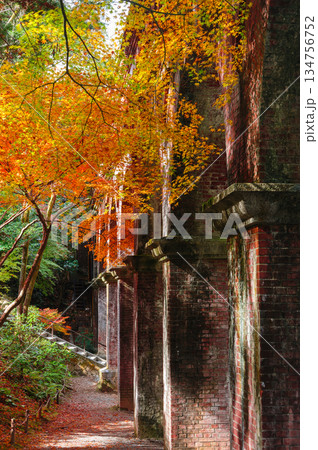 紅葉と水路閣（南禅寺）_1525 134756752
