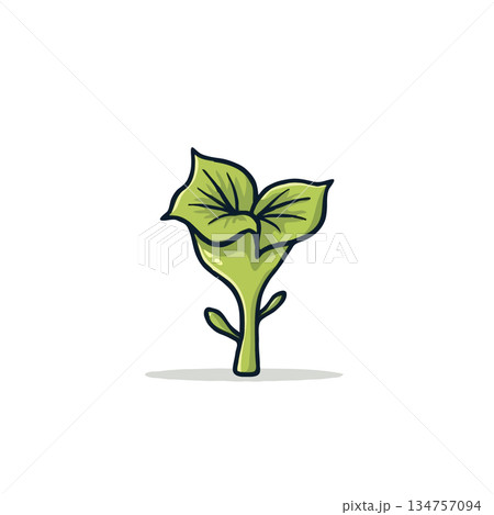 Stylized botanical illustration showcasing vibrant green leaves and a slender stem displaying Stylized botanical illustration showcasing vibrant green leaves and a slender stem displaying 134757094