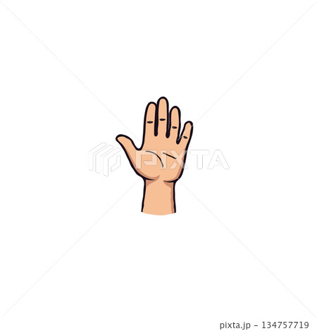 Illustrative gesture of an open hand displaying five fingers and neutral skin tone on white backdrop Illustrative gesture of an open hand displaying five fingers and neutral skin tone on white backdrop 134757719