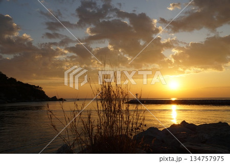 A large, bright, golden sun rises from the horizon against a backdrop of a stone pier, large rocks, and stalks of thatched grass.  134757975