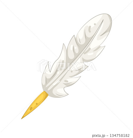 Illustration of feather  134758182