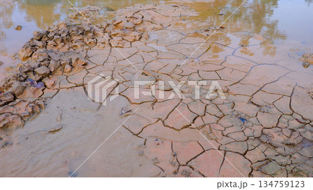 Cracked Mud Soil and Water Reflection in Mangrove Area 134759123