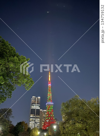芝公園から見えるクリスマスカラーの東京タワー 芝公園から見えるクリスマスカラーの東京タワー 134759132