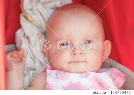 Little happy baby in stroller Little happy baby in stroller 134759479