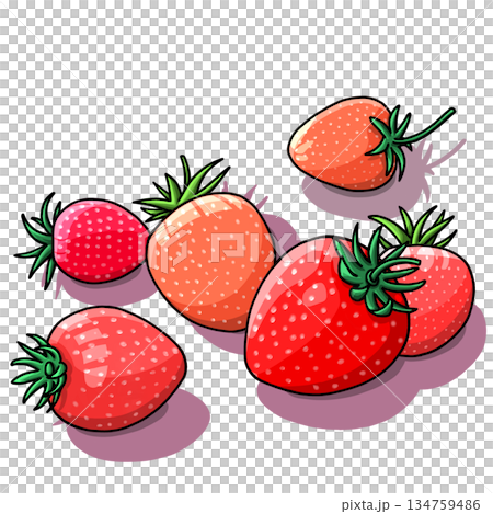 イチゴのイラスト素材 134759486
