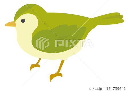 かわいいウグイスのイラスト 134759641