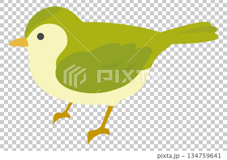 Cute Japanese bush warbler illustration 134759641